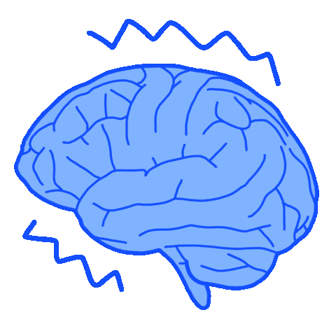 Brain